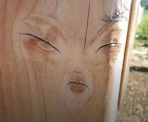 Недовольное лицо на дереве