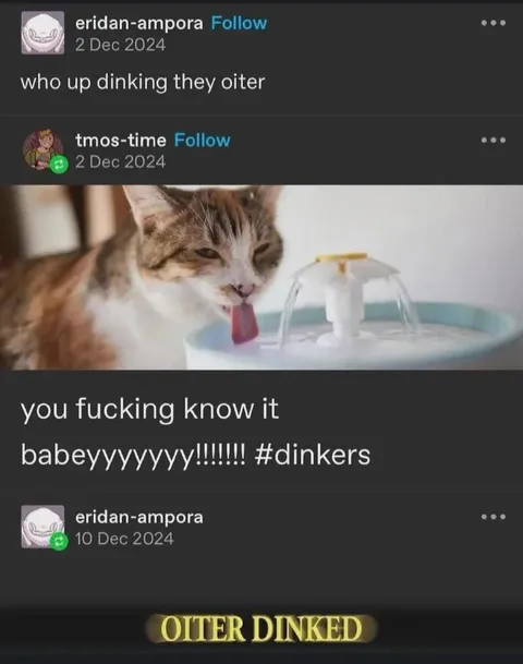 Oiter Dinked Cat
