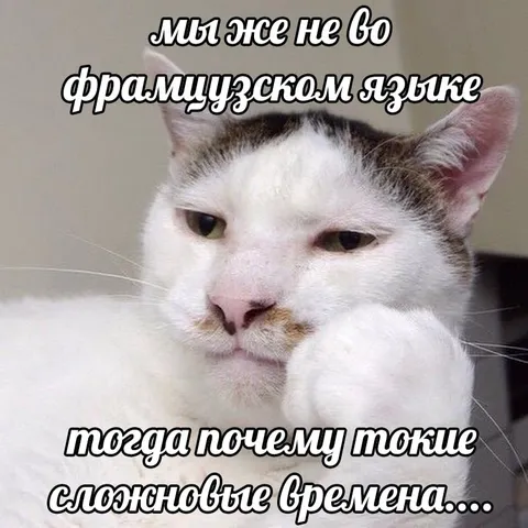 Кот и французские времена