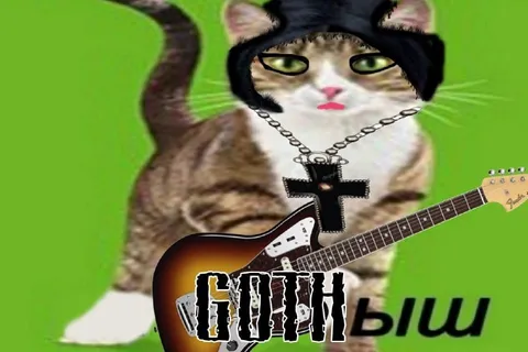 Готичный кот с гитарой