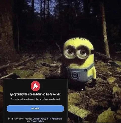 Minion Finds Banned Subreddit