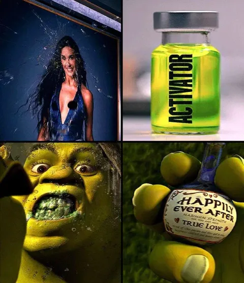 Shrek Happily Ever After Activator