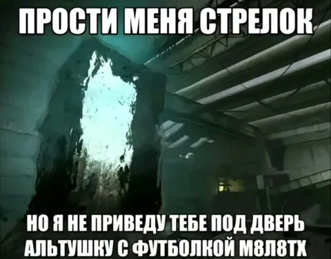 Прости меня, стрелок