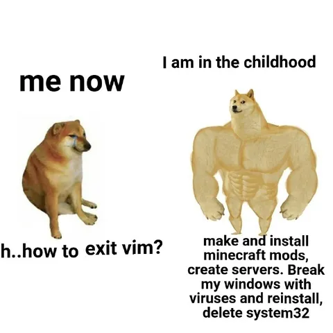 Swole Doge Childhood Hacker