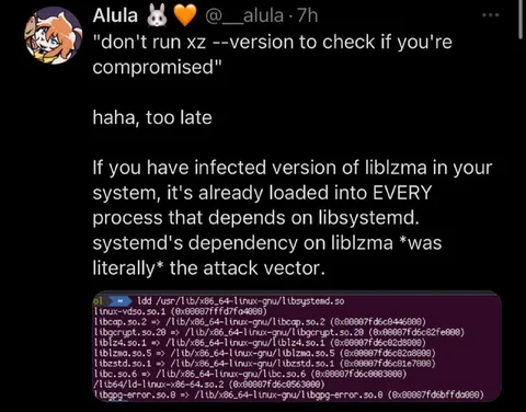 Too Late to Check xz