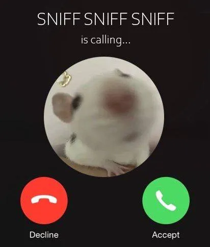 Sniff Sniff Is Calling
