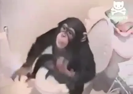 Обезьяна в ванной