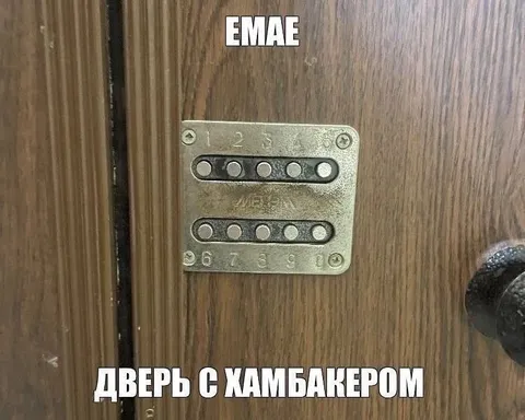 Дверь с хамбакером
