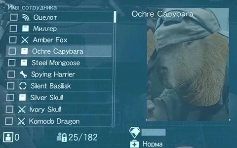 Сотрудник Ochre Capybara