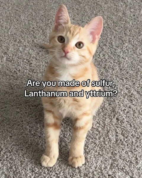 Cat Made of Sulfur Lanthanum Yttrium
