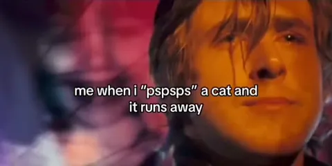 When the Cat Runs Away