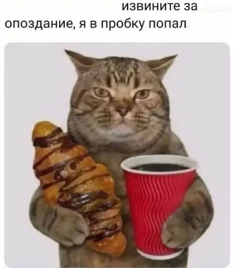 Извините за опоздание, пробка