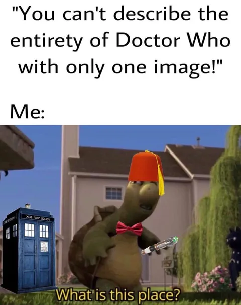 Doctor Who Turtle Confusion