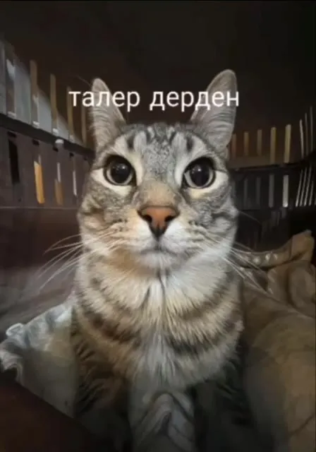 Так появился талер дерден