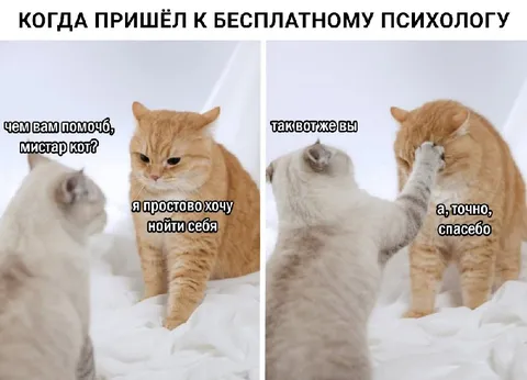 Кот пришёл к психологу
