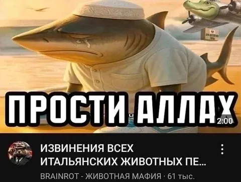 Прости и Аллах — акула