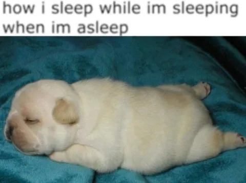 How I Sleep While Sleeping