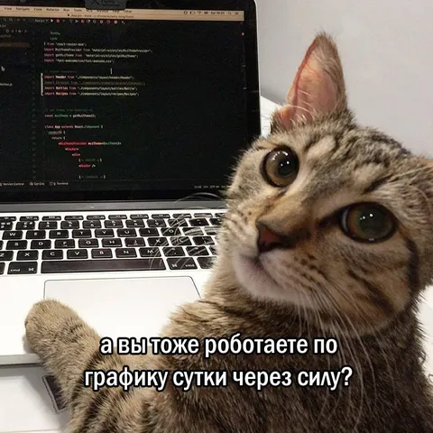 Работа сутки через силу