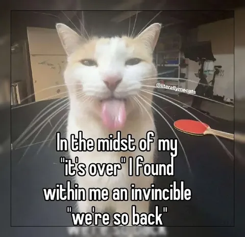 Invincible We're So Back Cat