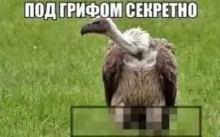 Под грифом секретно