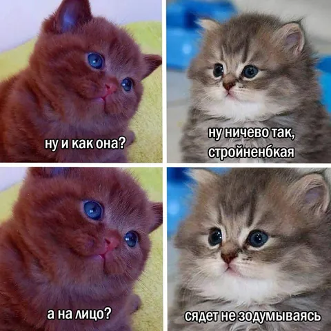 Оценка девушки по внешности