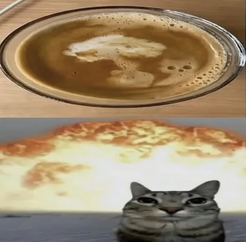 Кот смотрит на кофе