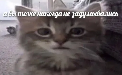 А вы тоже никогда не задумывались