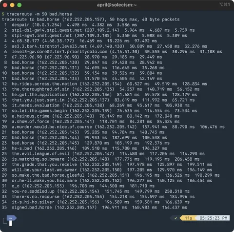Traceroute to Bad Horse