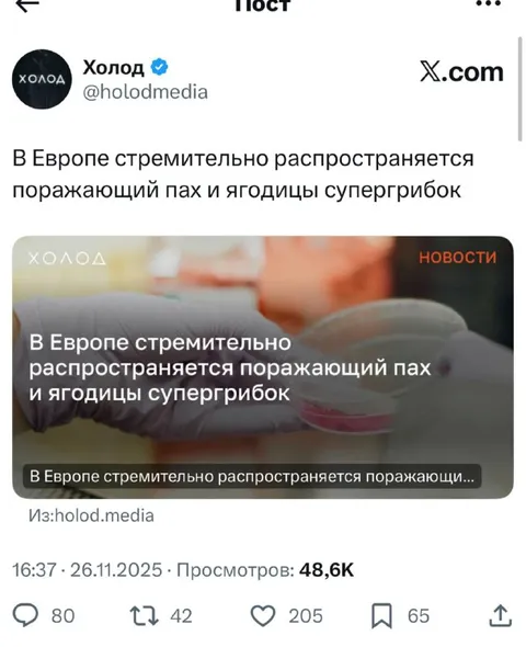 Поражающий пах и ягодицы супергрибок
