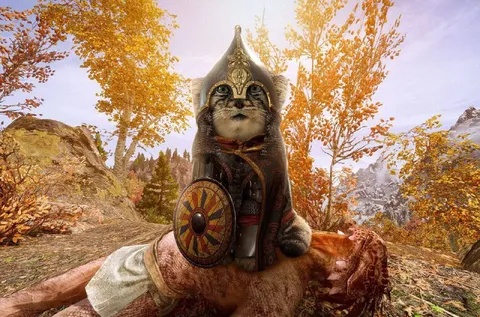 Кот-воин в Скайриме