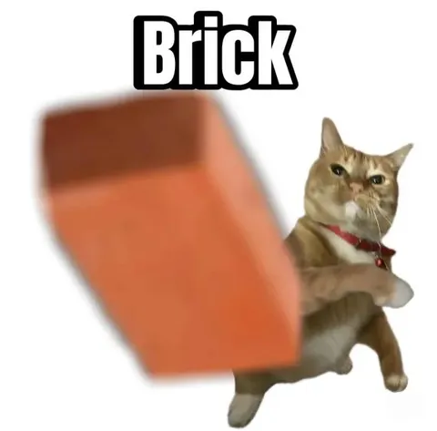 Brick Cat Reaction