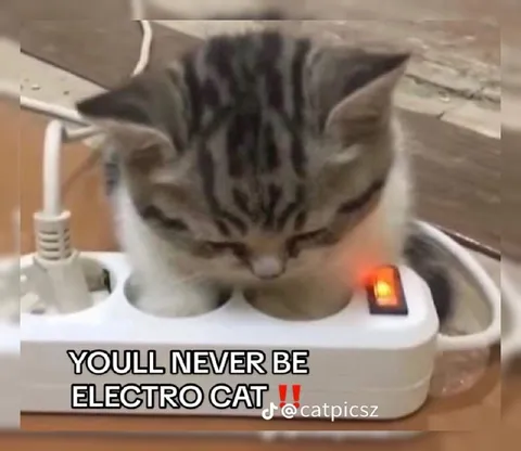 Electro Cat Power Strip