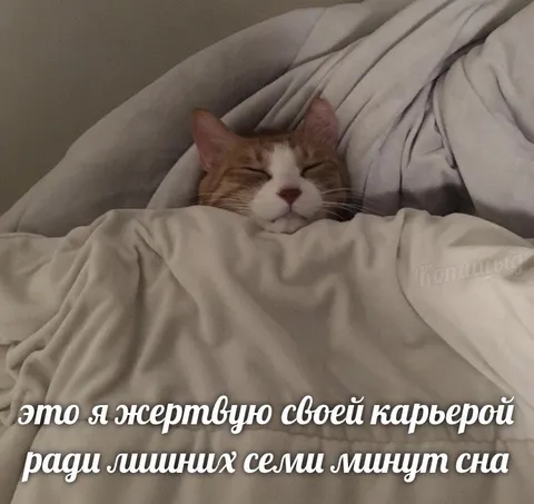 Жертвую карьерой ради сна