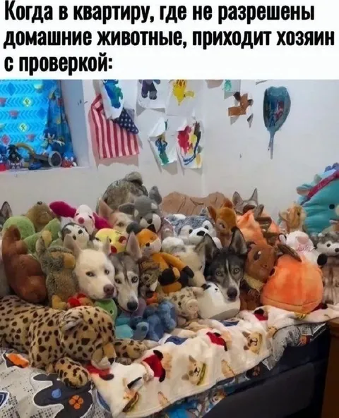 Хозяин с проверкой квартиры