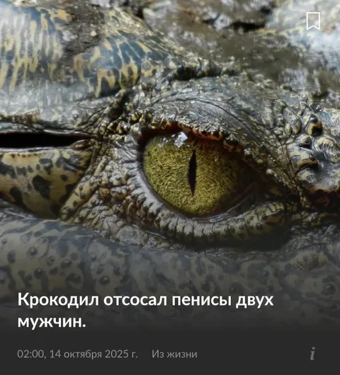 Крокодил откусил пенисы двух мужчин