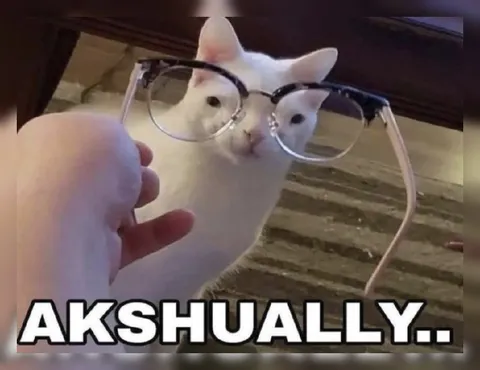Actually Cat With Glasses
