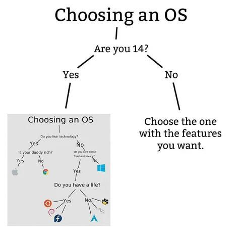 Choosing an OS Flowchart