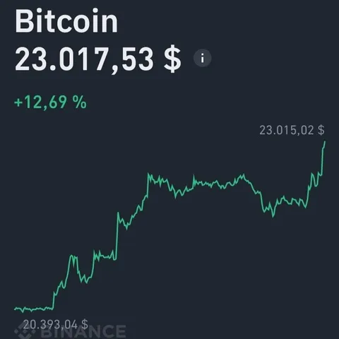 Bitcoin Price Surges