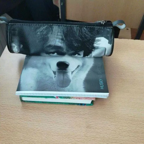 Хаски в пенале