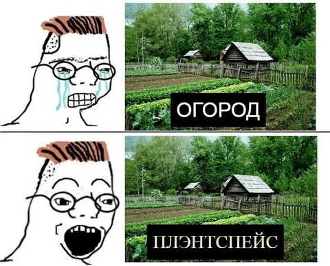 Огород и плэнтспэйс