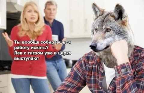 Лев с тигром уже выступают