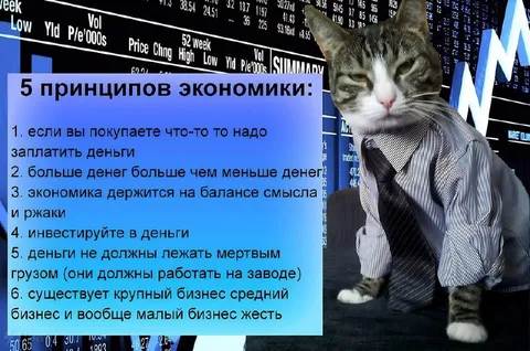5 принципов экономики от кота