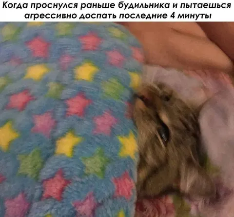 Агрессивно досыпать последние минуты