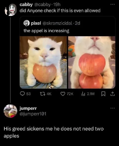 Greedy Cat Hoarding Apples