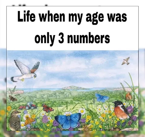 Life When My Age Was Three Numbers