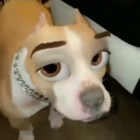 Собака прочищает горло