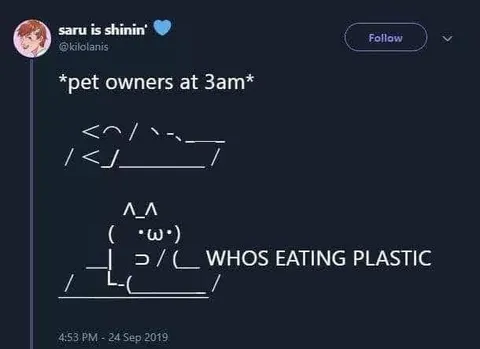 Pet Owners at 3 AM