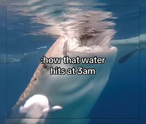 How That Water Hits at 3AM