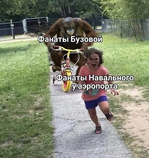 Фанаты Бузовой и Навального