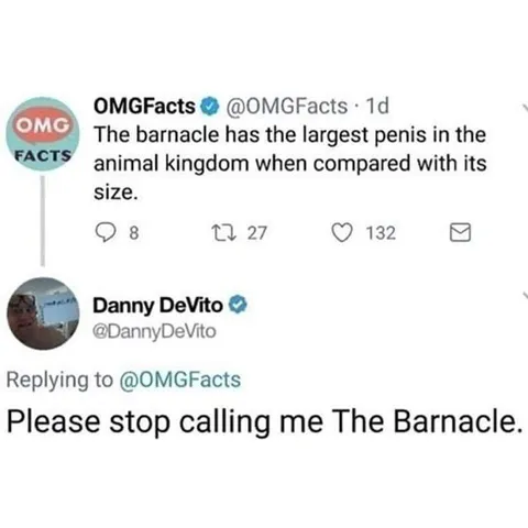 Please Stop Calling Me The Barnacle